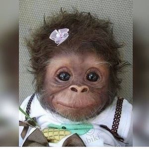 Meet your Posher, Wendy